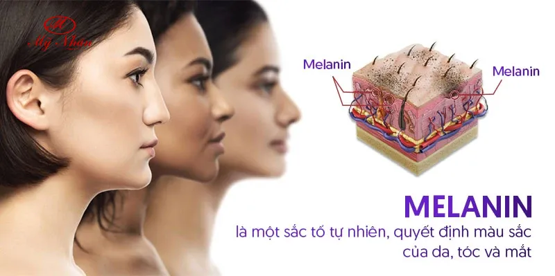 Phá bỏ lầm tưởng về melanin