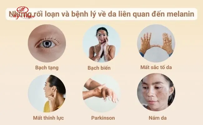 Các yếu tố tác động đến melanin