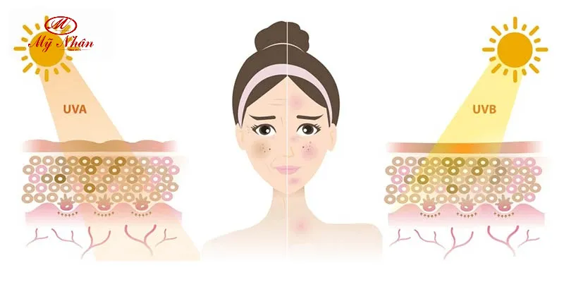Melanin không chỉ là màu da