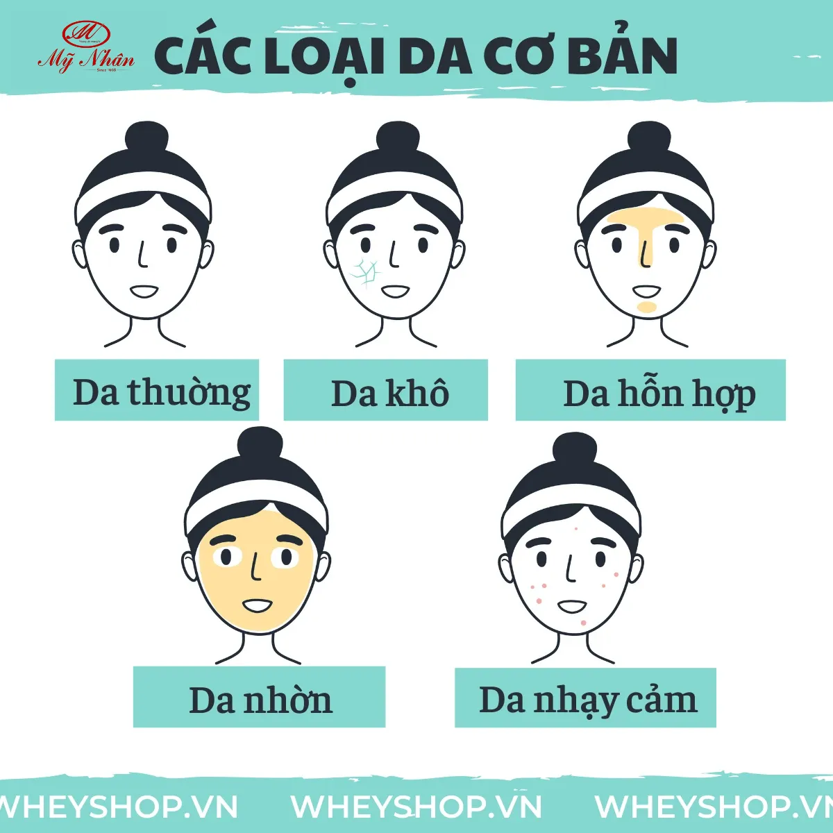 Các loại da cơ bản