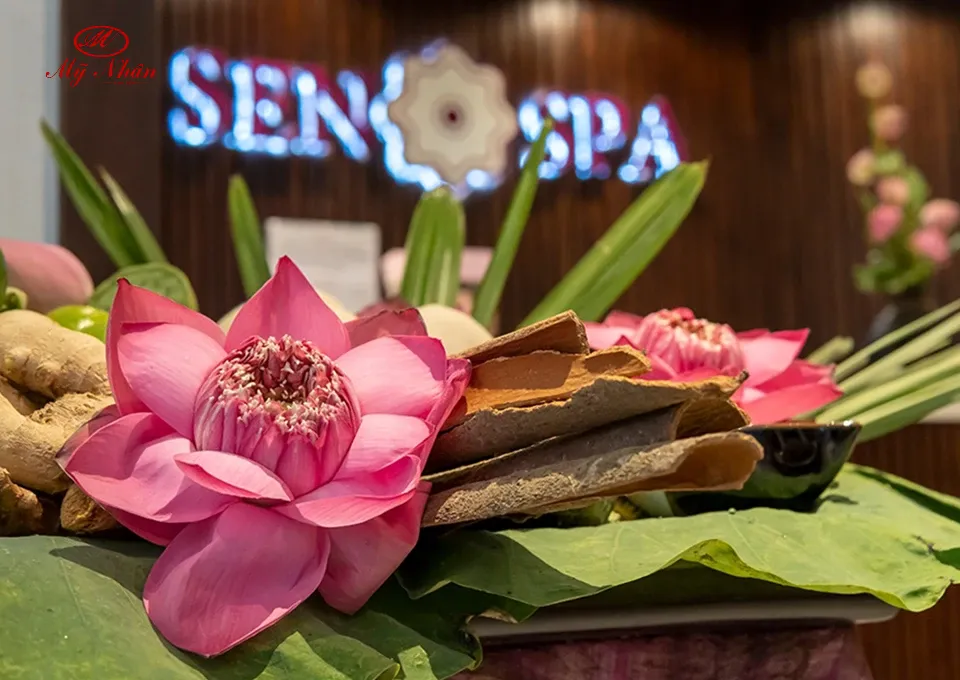 Dịch vụ spa cao cấp với phong cách truyền thống Việt Nam | SEN SPA